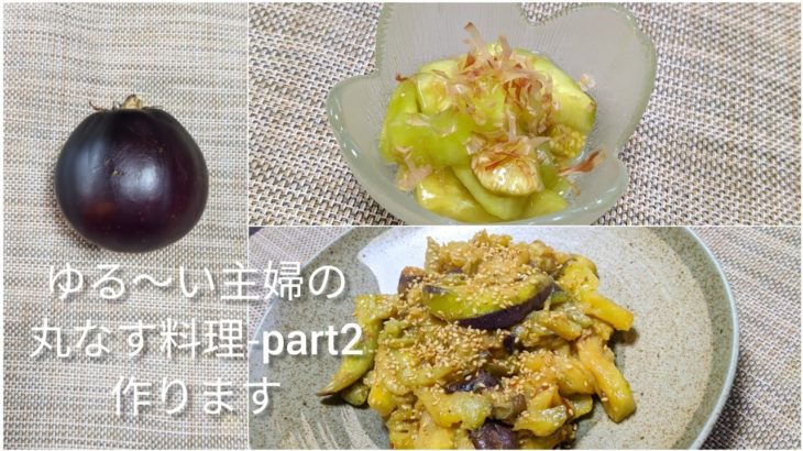 【簡単なすレシピ】トロトロの夏野菜!丸なすを使って、ご飯のおかずにお酒のつまみに!!料理初心者でも簡単に作れます！