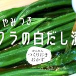 【簡単レシピ】夏野菜のやみつきオクラの白だし漬け