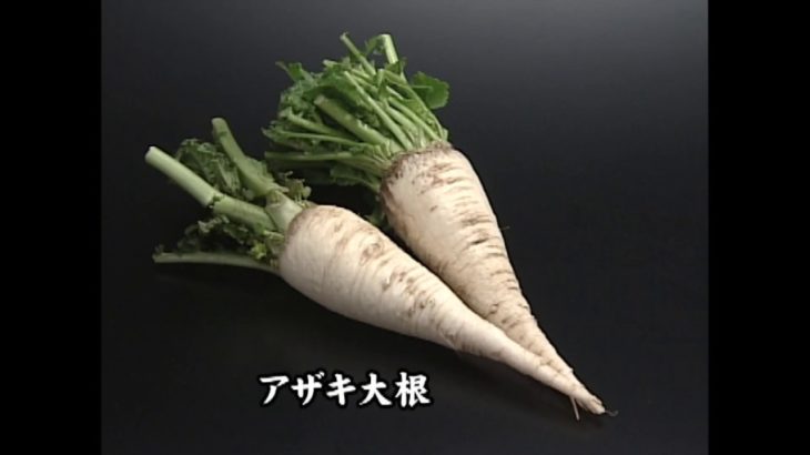 アザキ大根（会津伝統野菜）