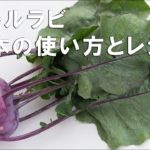 【コールラビ 基本の使い方とレシピ】野菜ソムリエプロがコールラビの正しい使い方を解説してコールラビのカルパッチョを実際に作っていきます。