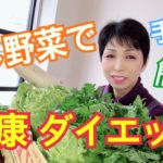 【干し野菜で簡単ダイエット】手抜き料理レシピ　作り置きに便利