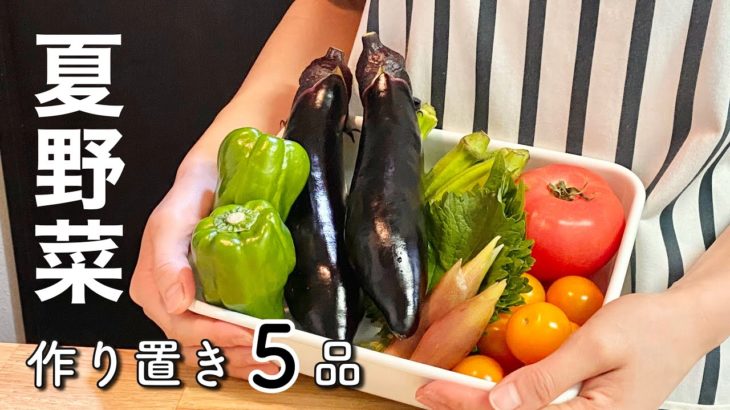 【夏野菜の作り置き】週初めの常備菜作り【レシピ５選】