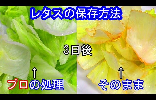 【レタス　保存方法】変色しない。えぐみも取れる一生涯使える簡単な保存法。レタス レシピ