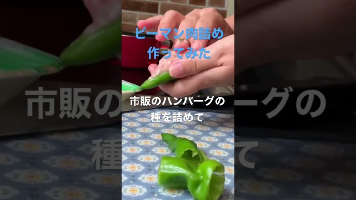 【簡単レシピ】#簡単レシピ #自炊レシピ #料理初心者 #時短レシピ #ずぼら飯 #ピーマンレシピ #ピーマンの肉詰め