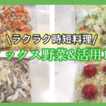 冷凍野菜ミックス４種&活用レシピ/使いたい分だけ取り出せるラクラク時短料理