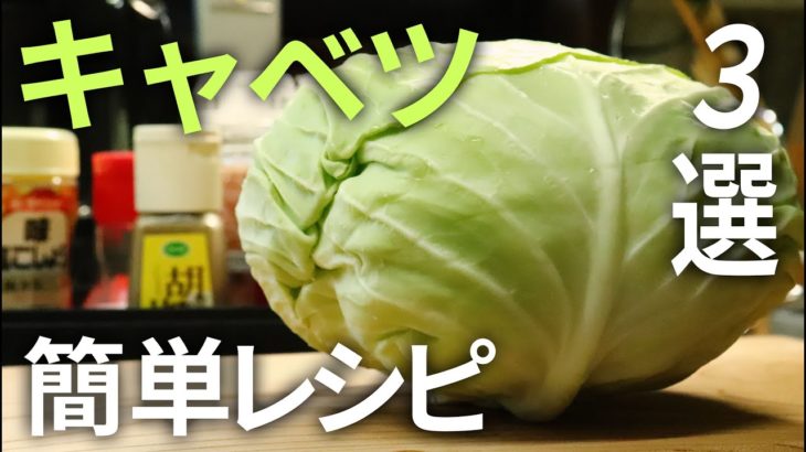 【食物繊維】体に優しいヘルシー簡単キャベツレシピ３選【野菜の王道】