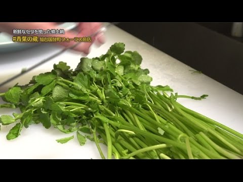 もはや仙台の名物鍋となりました仙台せり鍋！新鮮なセリは根っこまで美味しく、シャキシャキとした食感も最高ですよね～。宮城の伝統野菜を使った郷土鍋、是非ご堪能ください！【青葉の蔵 ハシュカリ#158】