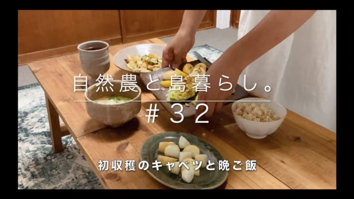 【ゼロからの自然農】＃32｜キャベツの収穫｜収穫の見極め｜収穫から食卓へ｜今日の晩ご飯｜キャベツとカブのグリル｜ジャーマンポテト｜Natural Farming｜Farm to Table