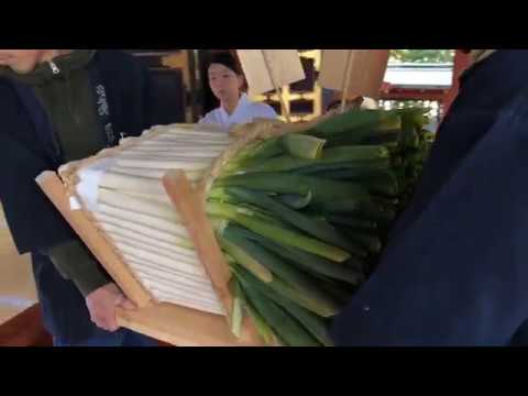 『江戸千住葱奉納』浅草倫理法人会 会員レポートNo.1