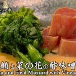 【漬けマグロと菜の花の酢みそ和え】日本料理の前菜の作り方説明【Pickled tuna and field mustard with vinegar and miso】