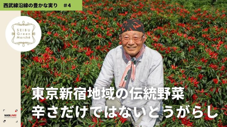 【東京新宿地域の伝統野菜！辛さだけではないとうがらし】西武線沿線の豊かな実り/西武グリーンマルシェオンライン＜販売中＞