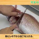 【ロングバージョン】小川貢一「築地魚河岸三代目 小川貢一の魚河岸クッキング・レシピ」｜小学館の本