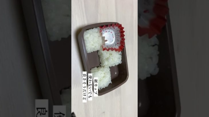 簡単【可愛いお弁当】の詰め方 手作りえびフライ 煮込みハンバーグ だし巻き玉子のおかずの日╱スヌーピー弁当