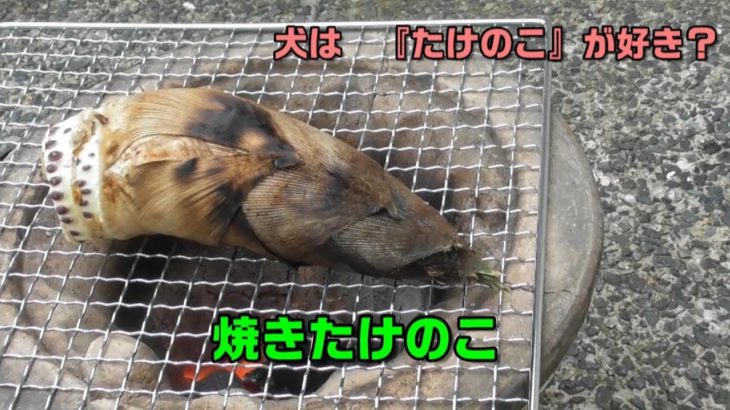 焼タケノコ