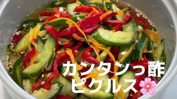【カンタンっ酢ピクルス】カンタン酢で簡単ピクルス。野菜を切ってかけるだけ。