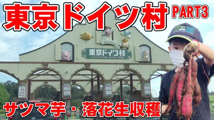 東京ドイツ村(PART3)さつまいも落花生収穫、ゴルフ、バッサースライダー、自転車、動物園、射的など