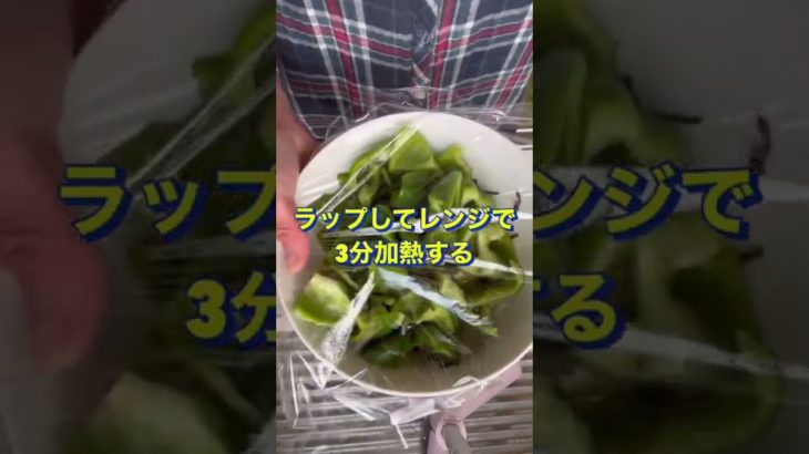 超簡単なのにめっちゃ美味い😋【ピーマンとちくわの塩昆布和え】#Shorts #ひめりんご