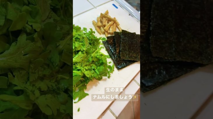 今日のランチ　#sunbrew食堂 #ランチ