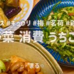 【夏野菜 消費 レシピ】簡単おいしい！リピートしたいお箸がすすむおうちごはん.