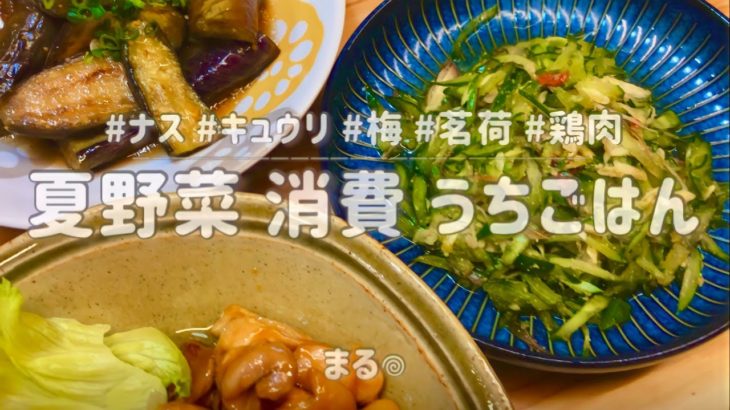 【夏野菜 消費 レシピ】簡単おいしい！リピートしたいお箸がすすむおうちごはん.