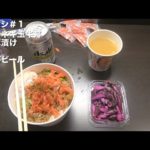 【サラメシ＃１】松屋のネギ玉牛丼大盛りを攻める