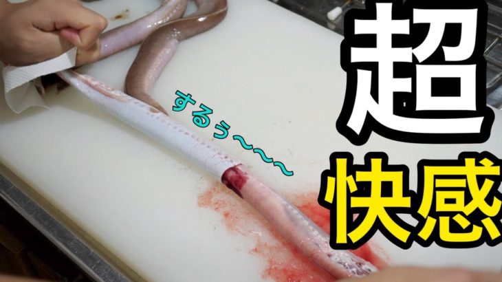 海底に生息する 『ローションうなぎ』の皮むきが爽快すぎるwww