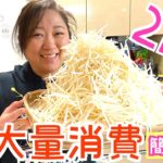 【大量消費】もやし2キロを使った美奈子流簡単レシピを３品ご紹介！【節約】