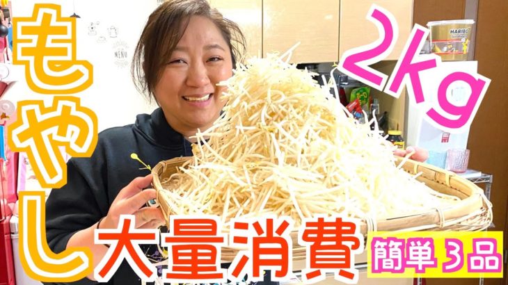 【大量消費】もやし2キロを使った美奈子流簡単レシピを３品ご紹介！【節約】