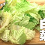 【白菜レシピ】材料2つ！一番おいしい食べかた！簡単中華