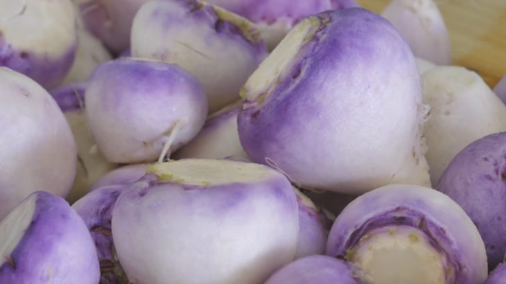 長野県CATV2020年度連携：信州の伝統野菜⑥羽広菜（伊那市）