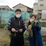 JA大阪中河内　なにわの伝統野菜 「難波葱」レポート！！