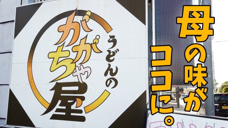 【ががちゃ屋】贅沢どんどんセット！！こーーーりゃぁ最強の定食だでぇ〜〈鶴ヶ島市〉【埼玉うどん子TV第107回】