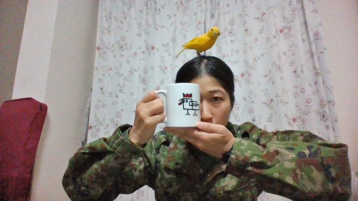 ちっぴぃちゃんズの告知配信！【陸上自衛隊・女性自衛官・自衛隊芸人・自衛隊・鳥・ネタ・漫才・コント・お笑い】