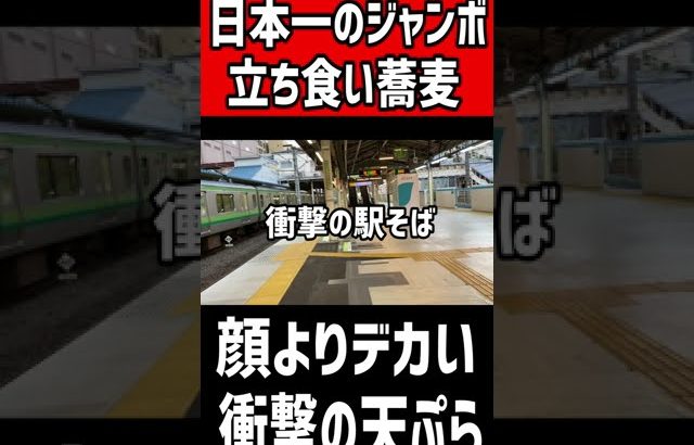 日本一ジャンボの立ち食い蕎麦！顔よりデカい衝撃の天ぷら！！