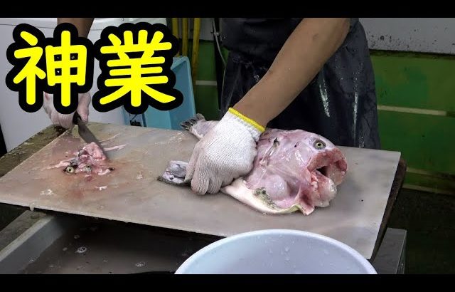 【フグの神捌き】天然トラフグが今年は豊漁！