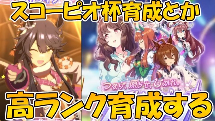 【ウマ娘】とにかく高ランク育成とかスコーピオ杯育成とかするマン【ウマ娘プリティーダービー】