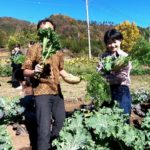 Otsuki Experience Tour /大月農業体験ツアー＠ももくら農園