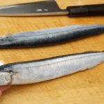 秋刀魚（サンマ）のさばき方と「なめろう」の作り方