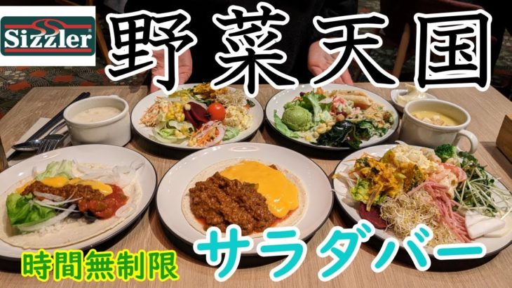 【爆食夫婦のビュッフェ天国】正月太り解消！？シズラーサラダバーで満腹になるまで食べてみた件 #japantravel #japanesefood #japan #japa #爆食