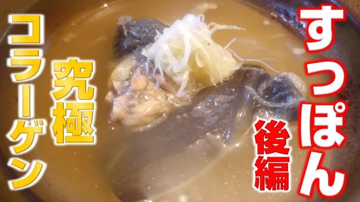 【すっぽん後編】3時間煮込むすっぽん鍋と極上の炭火焼き・唐揚げまで全ての作り方をお伝えします！