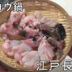 あんこう鍋-Monkfish hot pot-【Japanese food 江戸長火鉢】