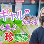 【特売まとめ】“子どもでも食べやすい”こだわりの野菜　行列のできる野菜直売所/肉も魚も買い得！人気の工場直売所 など  （日テレNEWS LIVE）