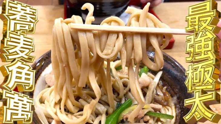 蕎麦界の二郎とも呼ばれる超激太激固ゴワワシ蕎麦を豚肉も余裕でガッツリ入れて食べたから見て【角萬浅草店】
