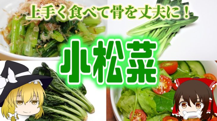 【ゆっくり解説】カルシウム豊富！小松菜の栄養について解説！
