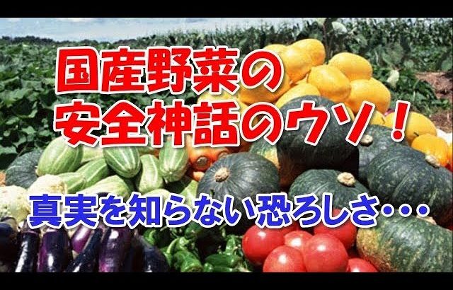 国産野菜の安全神話のウソ！～この真実を知らない恐ろしさ・・・。