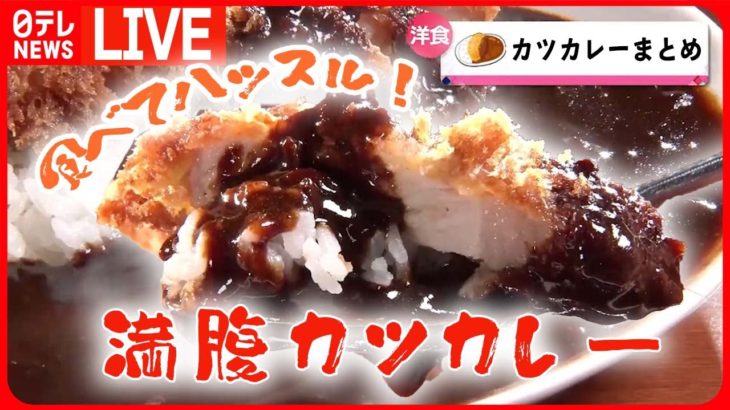 【カツカレーまとめ】肉のうまみと奥深いカレーの味わい / うまくて安くて早い！一皿で満腹カツカレー / 揚げたてサクサクのカツカレー など （日テレNEWS LIVE）