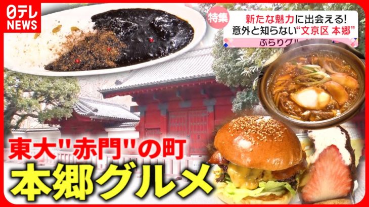 【グルメ散歩】絶品黒カレー＆煮込みうどん！歴史ある”本郷”の人気グルメ『every.特集』