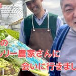 #1023【シェフVlog】東京のセルリー（セロリ）農家さんを訪ねてきました！｜Chef Kiyomi MIKUNI