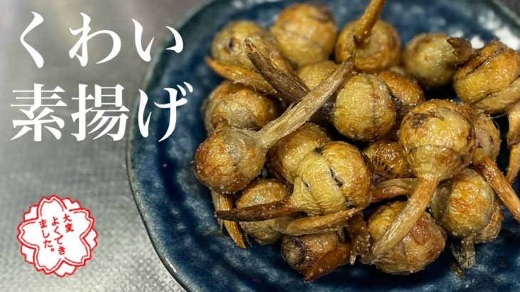 #139【くわいの素揚げ】くわいの1番美味しい食べ方！！！