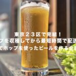 【東京２３区で完結】ホップを収穫してビールを作ろう ！江戸東京ビールオリジナルビール、フレッシュホップのペールエール【2023年9月開栓】  HD 1080p